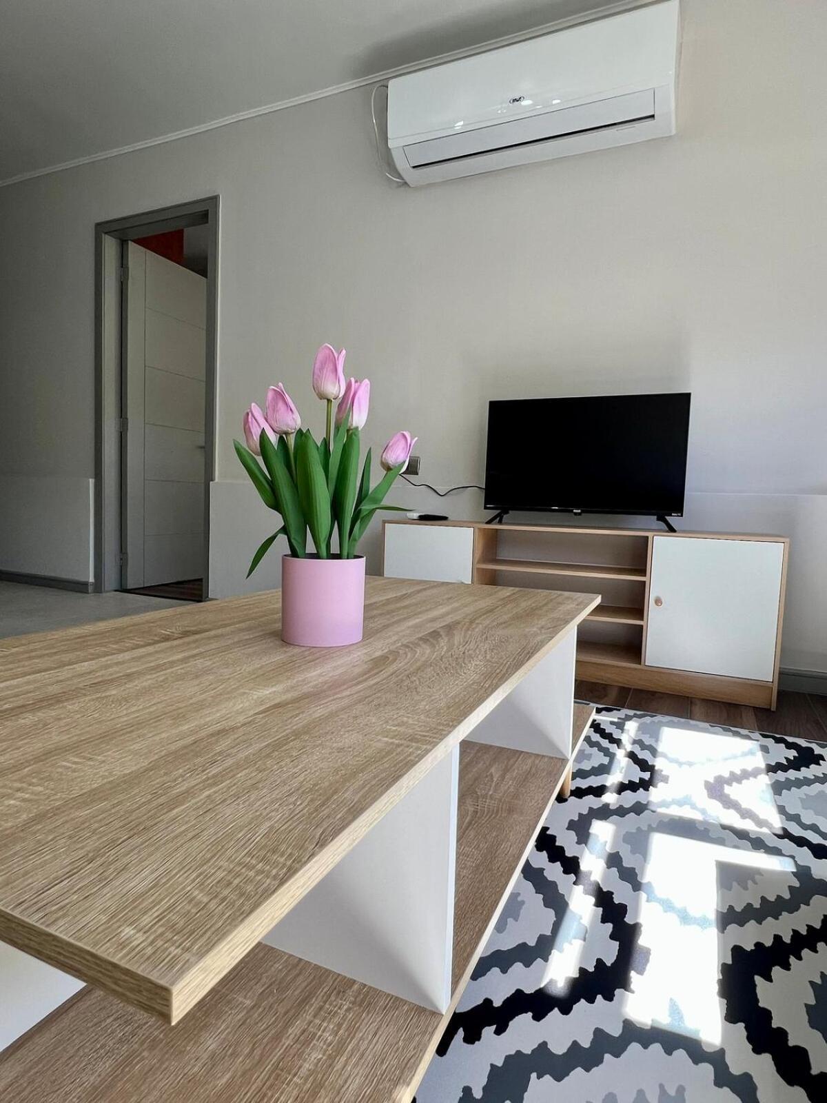 Apartamento Departamento Cerezo